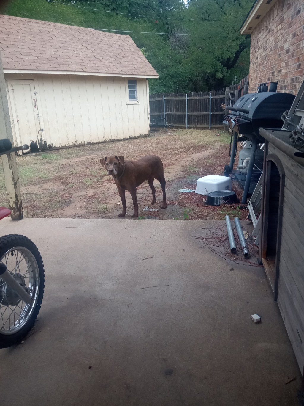 The Alternator Part&nbsp;2